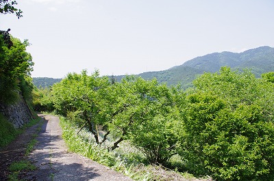 c0207890_112274.jpg