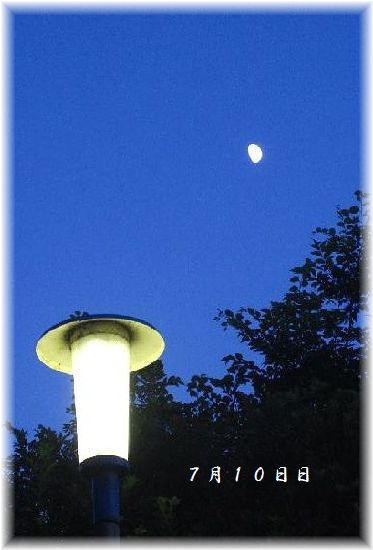 e0143690_13443340.jpg
