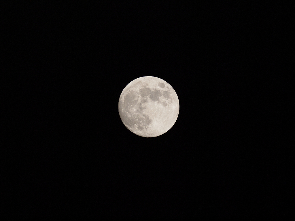 a0133692_22172738.jpg
