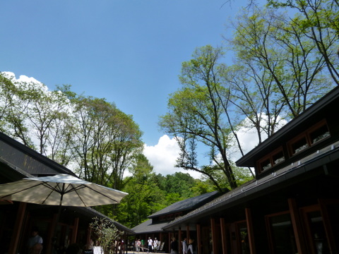 f0137694_740637.jpg
