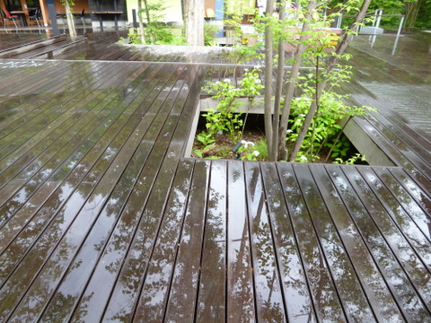 f0137694_742321.jpg
