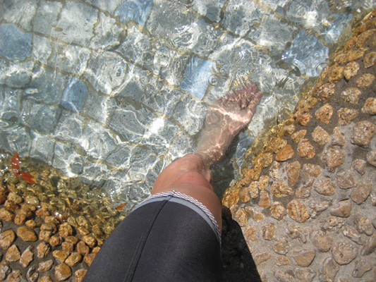 b0097200_22402788.jpg