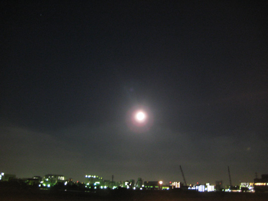 b0097200_22424798.jpg