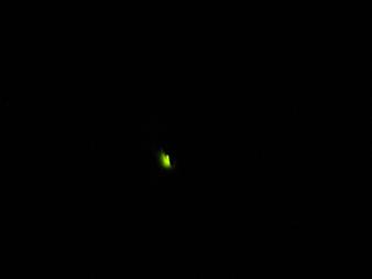 c0037103_13151146.jpg