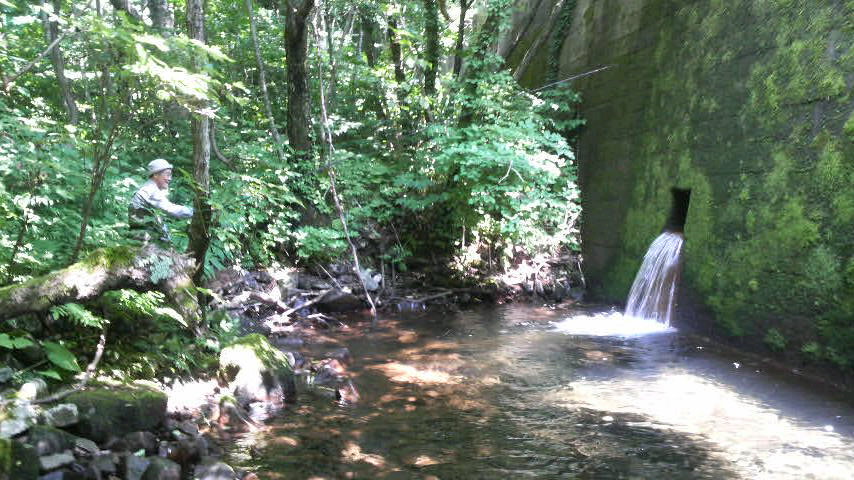 e0123808_11235017.jpg
