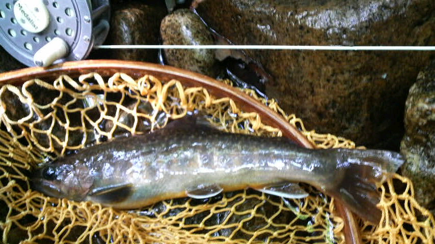 e0123808_11235039.jpg