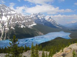 b0051109_23573536.jpg
