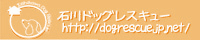b0229910_10104294.gif