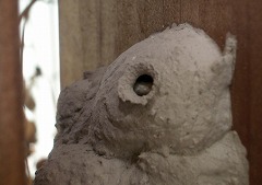 c0190010_21592013.jpg