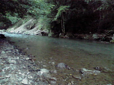 f0079411_20433960.jpg