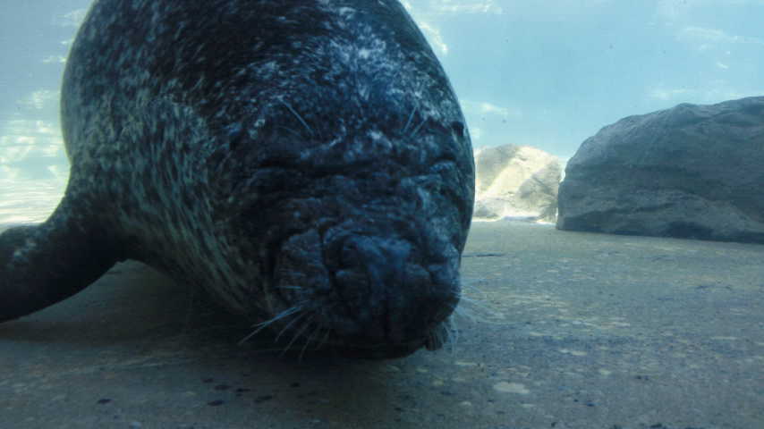c0175712_23433122.jpg