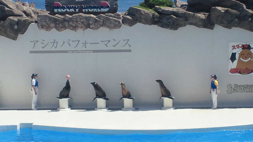 c0175712_23433181.jpg