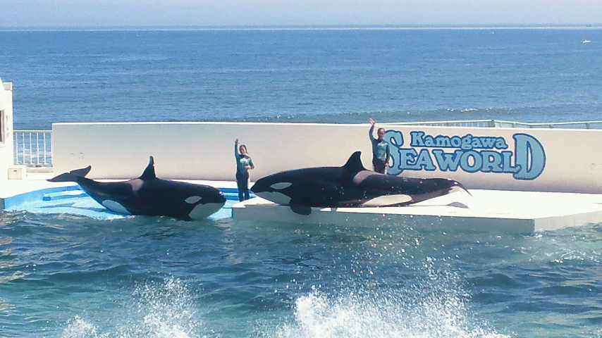 c0175712_23433195.jpg