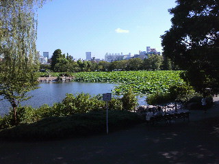 d0083712_644129.jpg