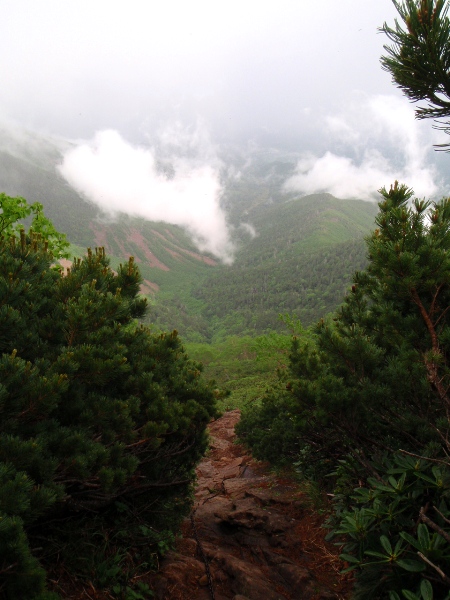 c0177814_2014491.jpg