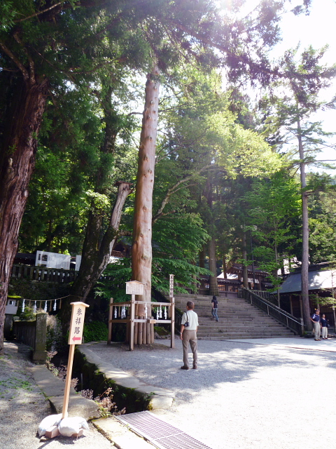 d0170615_8591654.jpg