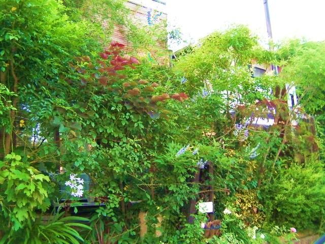 c0204121_8223122.jpg
