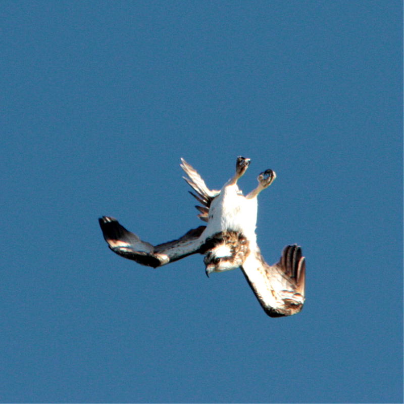 f0181821_16435947.jpg