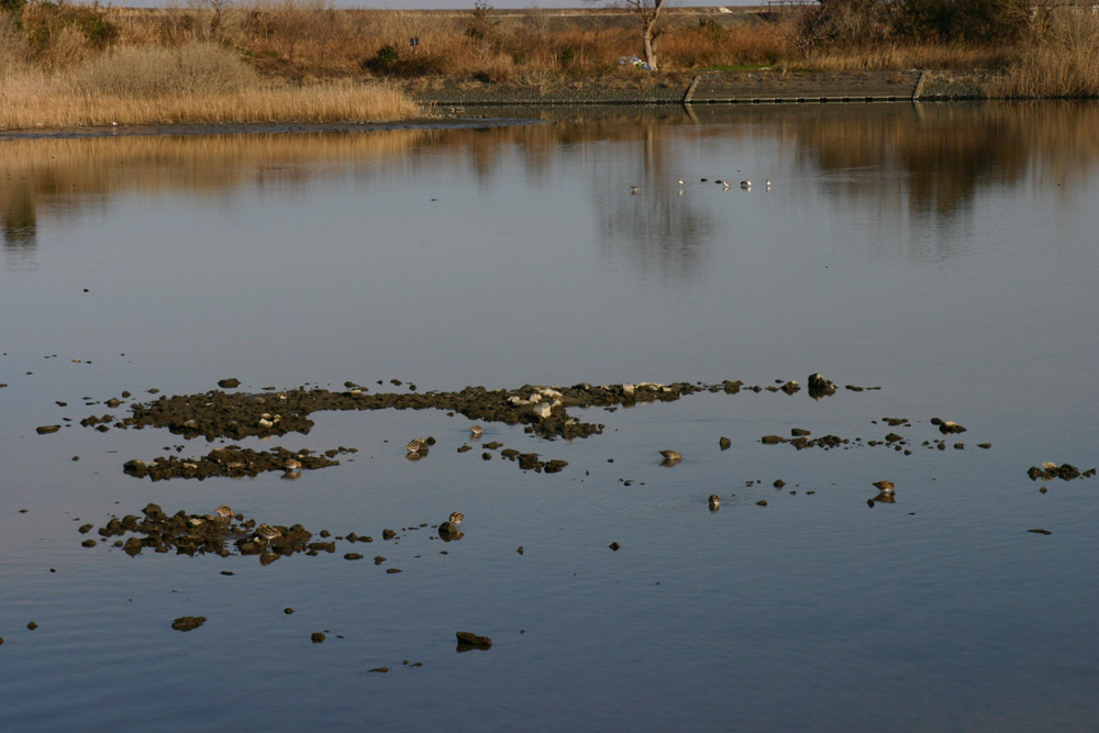 f0181821_16452794.jpg