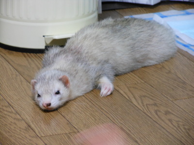 e0208623_0243634.jpg