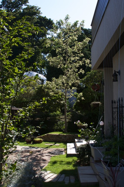 e0021328_231314100.jpg