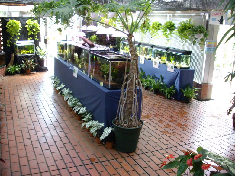b0011334_2351169.jpg