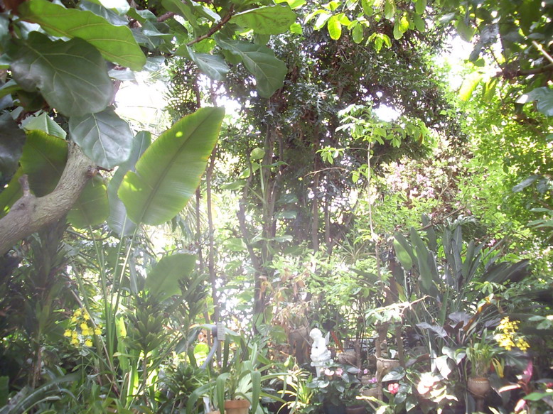 b0011334_2356272.jpg