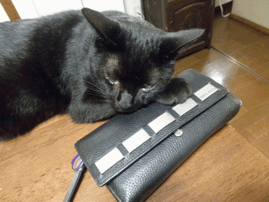 c0136736_17505793.gif
