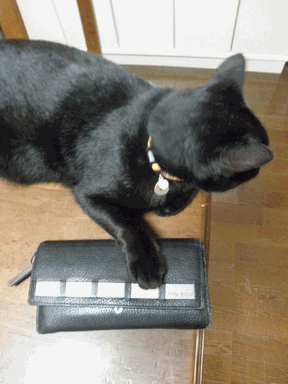 c0136736_20273951.gif