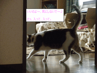 c0136736_20362916.gif