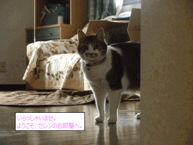 c0136736_2036521.gif