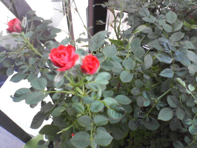 f0237037_13512714.jpg