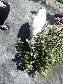f0199940_2213460.jpg
