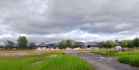 a0100742_1349251.jpg