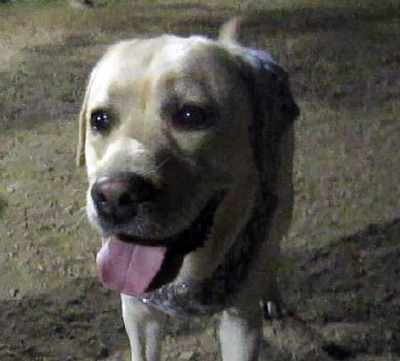 a0142343_143599.jpg