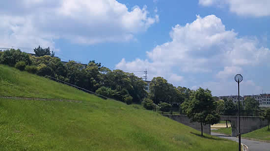 c0181543_2158117.jpg