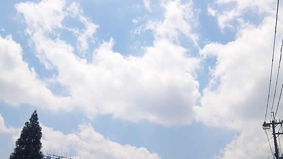 c0181543_21581971.jpg