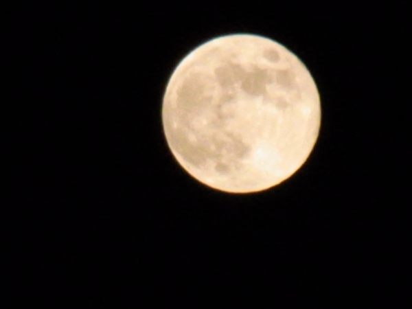 a0175545_20121055.jpg