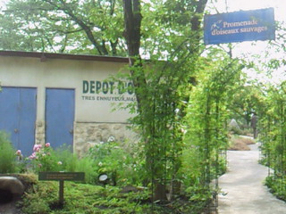 b0017147_931449.jpg