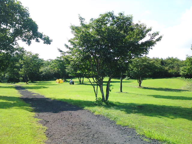 a0175548_11494582.jpg