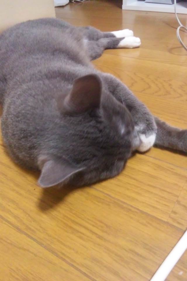 c0208352_19181599.jpg