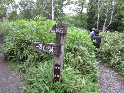 d0031853_414946.jpg