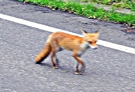 d0031853_442958.jpg
