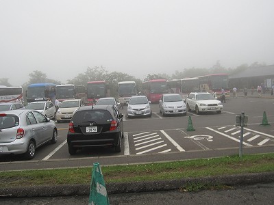 d0031853_4879.jpg
