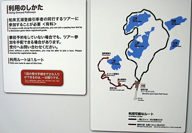 d0031853_493981.jpg