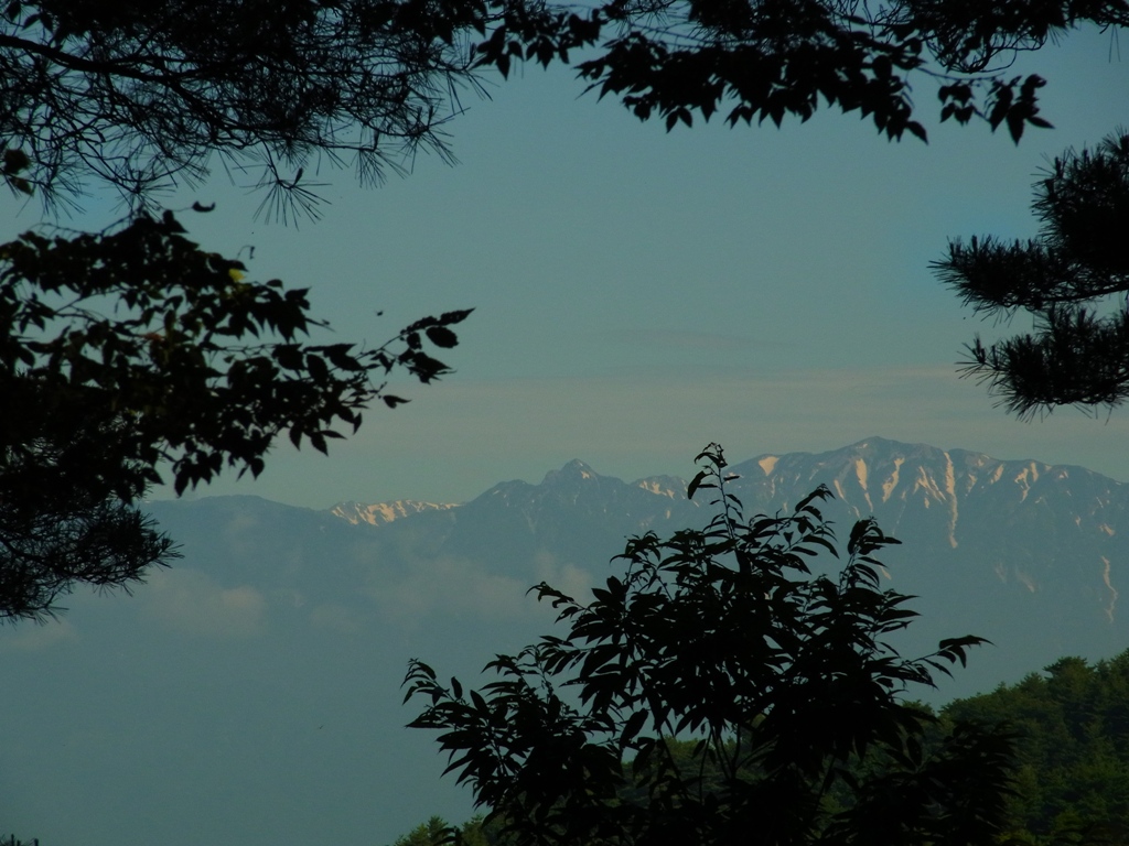 e0223456_9503496.jpg