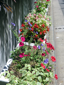 f0176458_1442062.jpg