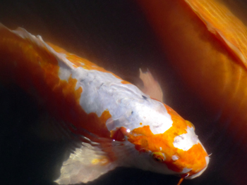 f0176458_1464110.jpg