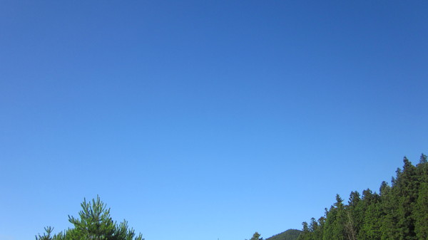 a0186159_96862.jpg