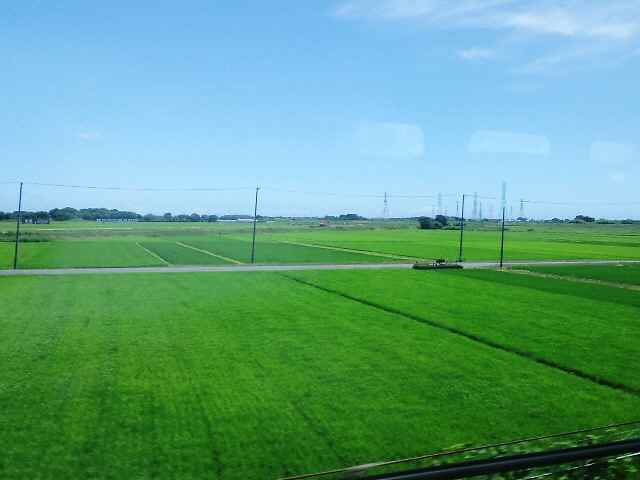 c0042960_22494746.jpg